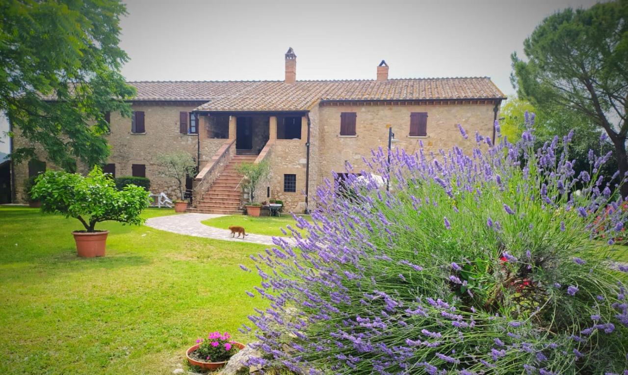 Agriturismo Podere Luchiano Amelia Exterior photo