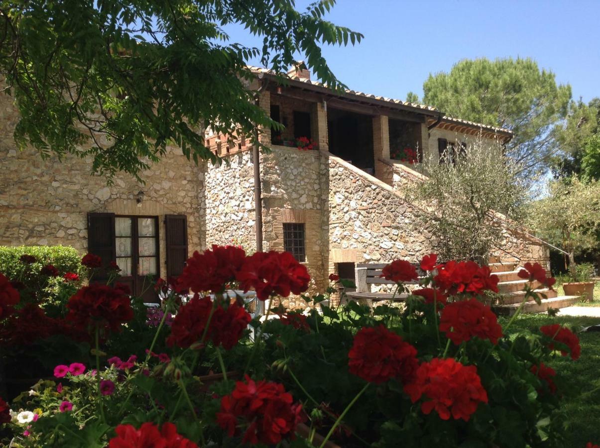 Agriturismo Podere Luchiano Amelia Exterior photo